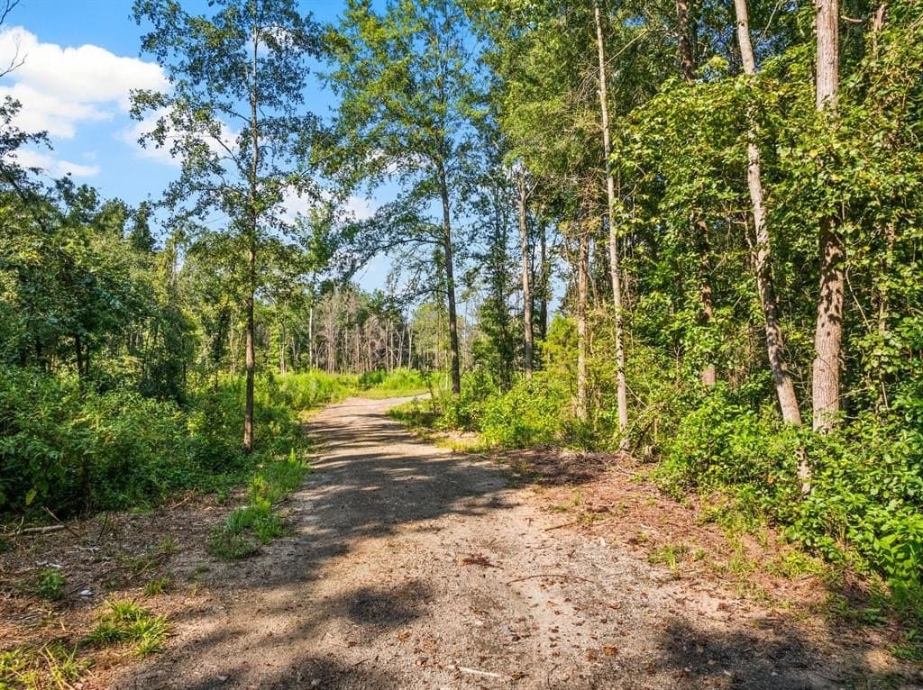 48.71 acres in Upshur County featured view