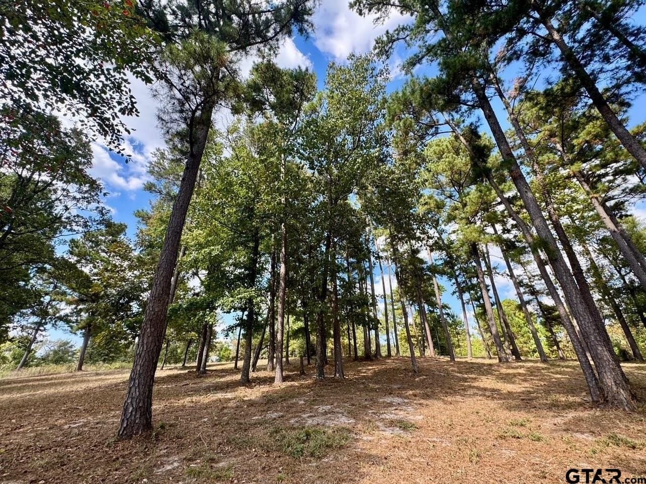 1.8 acres in Wood County - photo 5