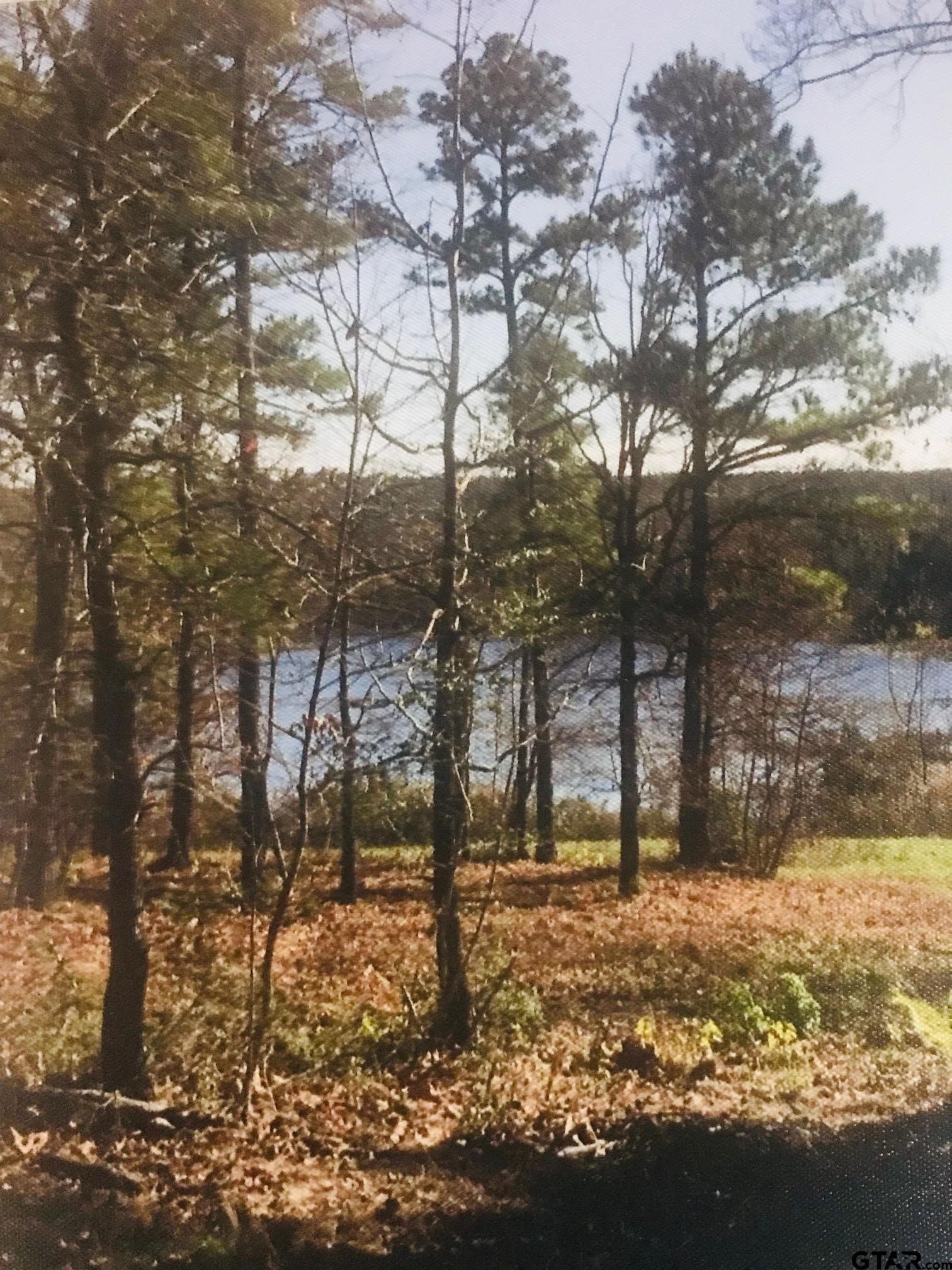 1.8 acres in Wood County - photo 2