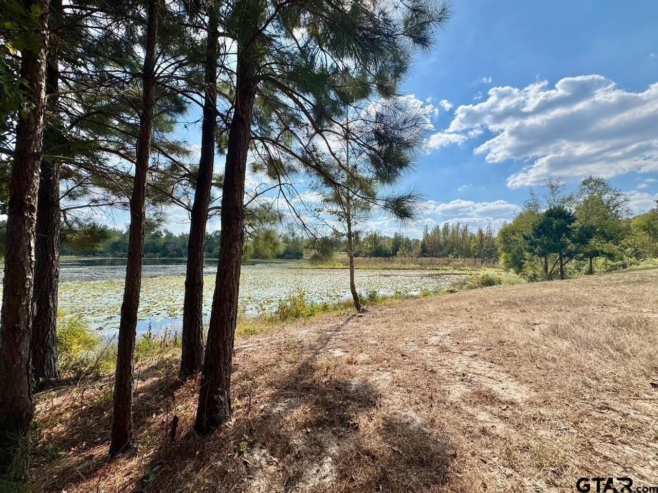 1.8 acres in Wood County - photo 4