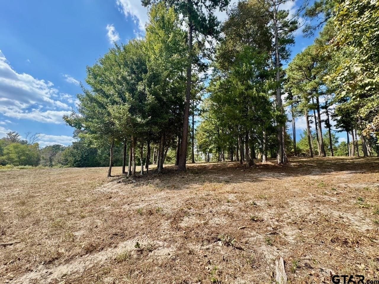 1.8 acres in Wood County - photo 13