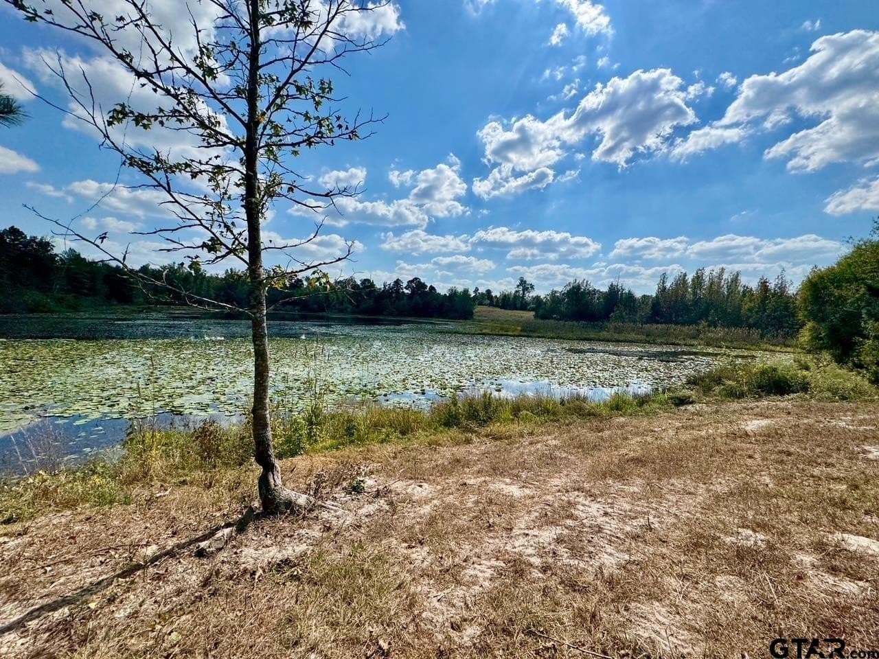 1.8 acres in Wood County - photo 3