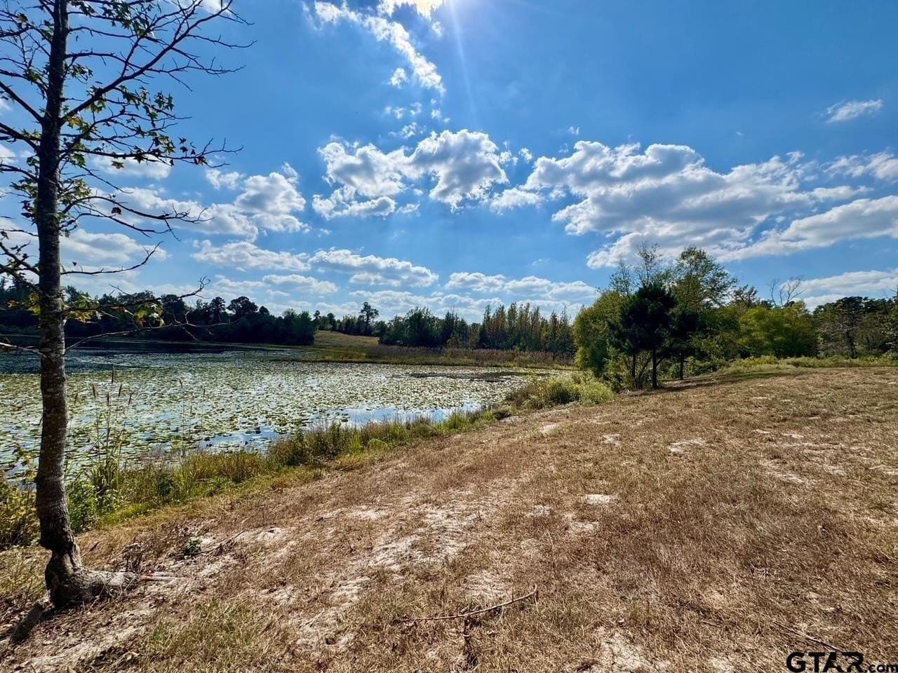 1.8 acres in Wood County - photo 10