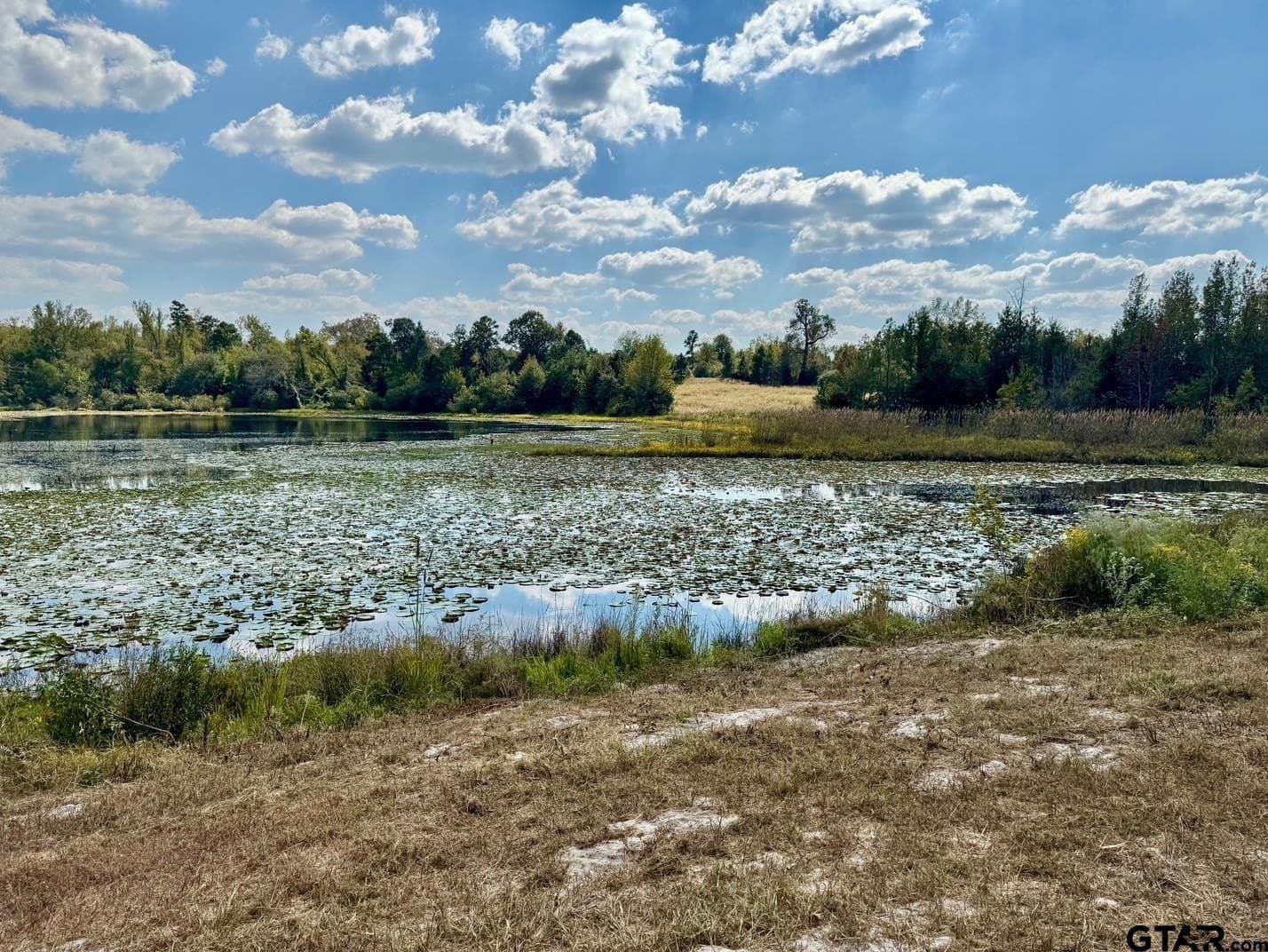 1.8 acres in Wood County - photo 9