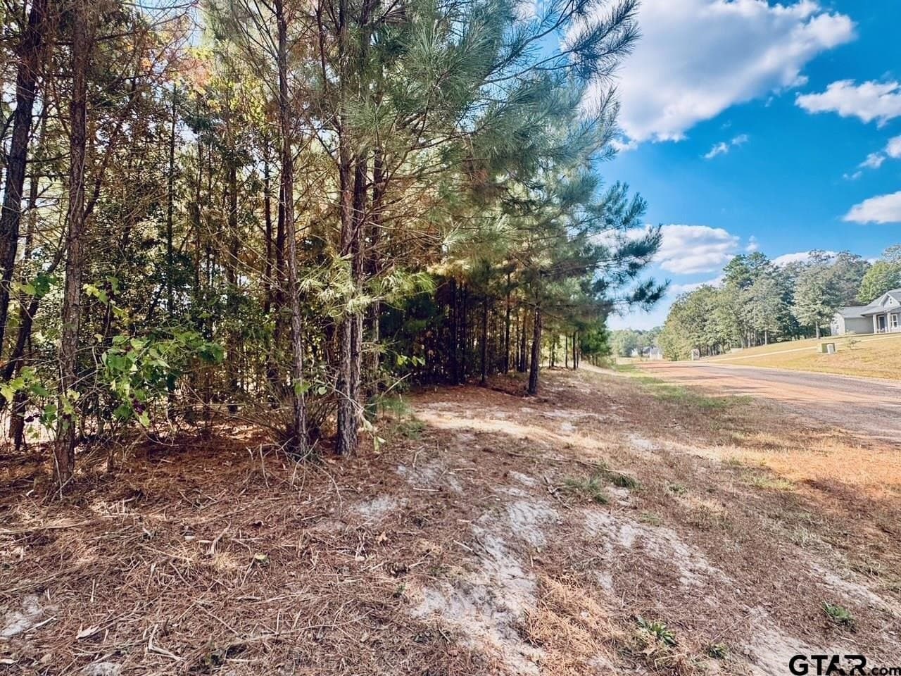 1.8 acres in Wood County - photo 7