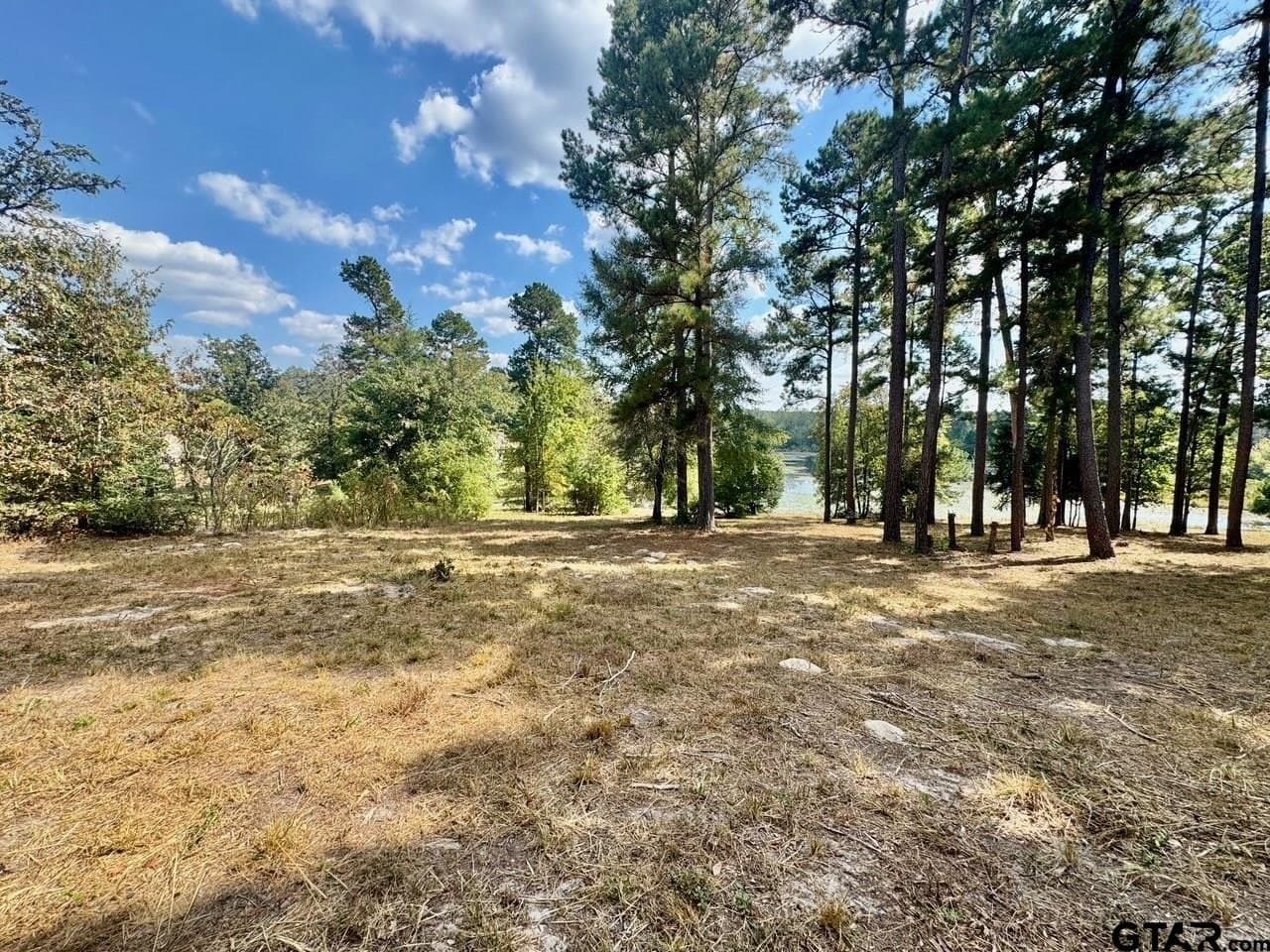 1.8 acres in Wood County - photo 8