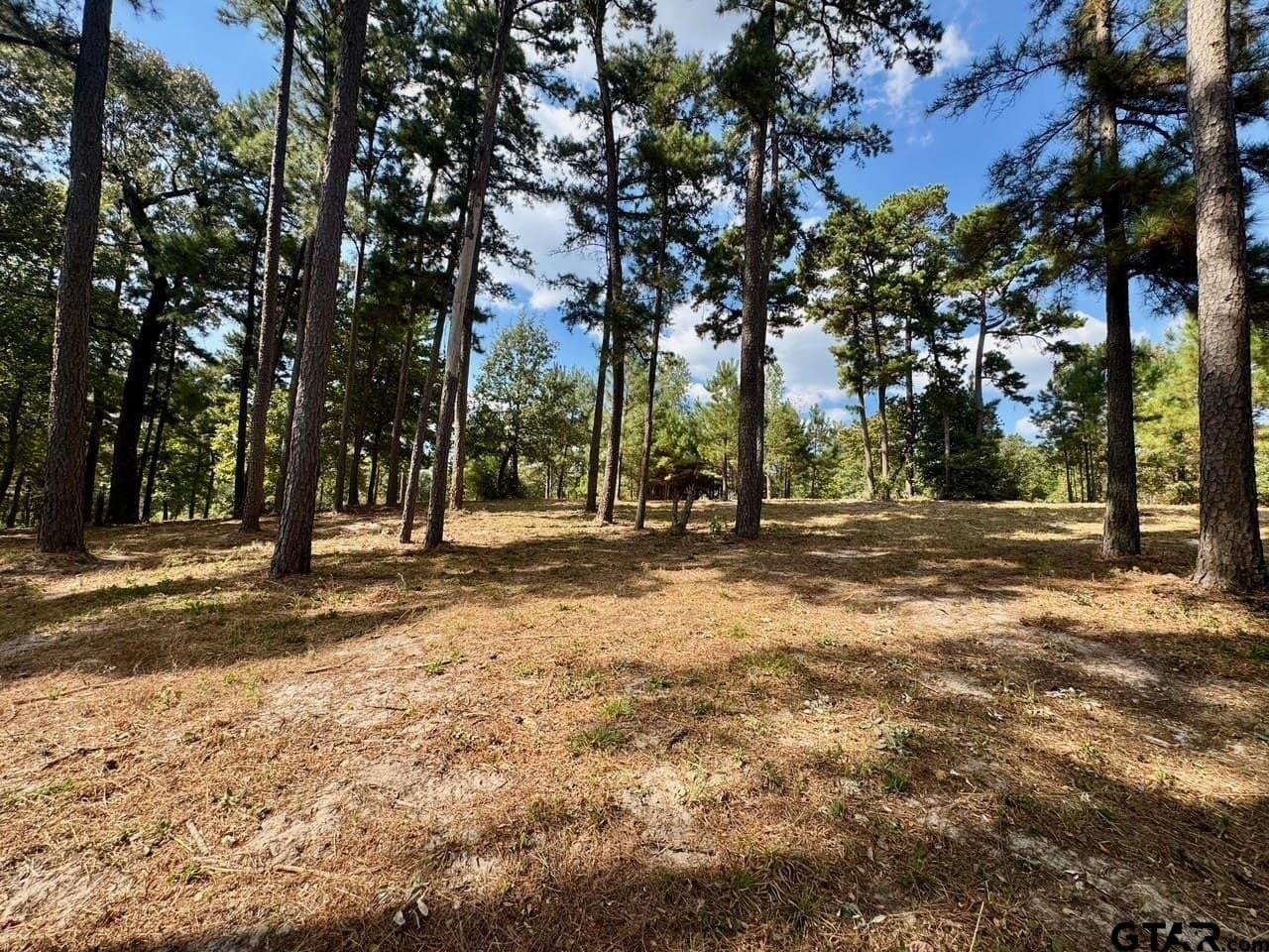 1.8 acres in Wood County - photo 12