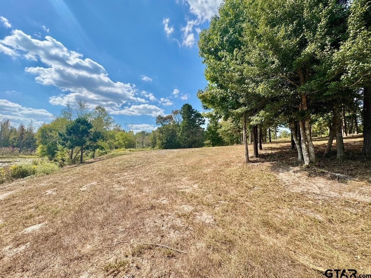 1.8 acres in Wood County - photo 14
