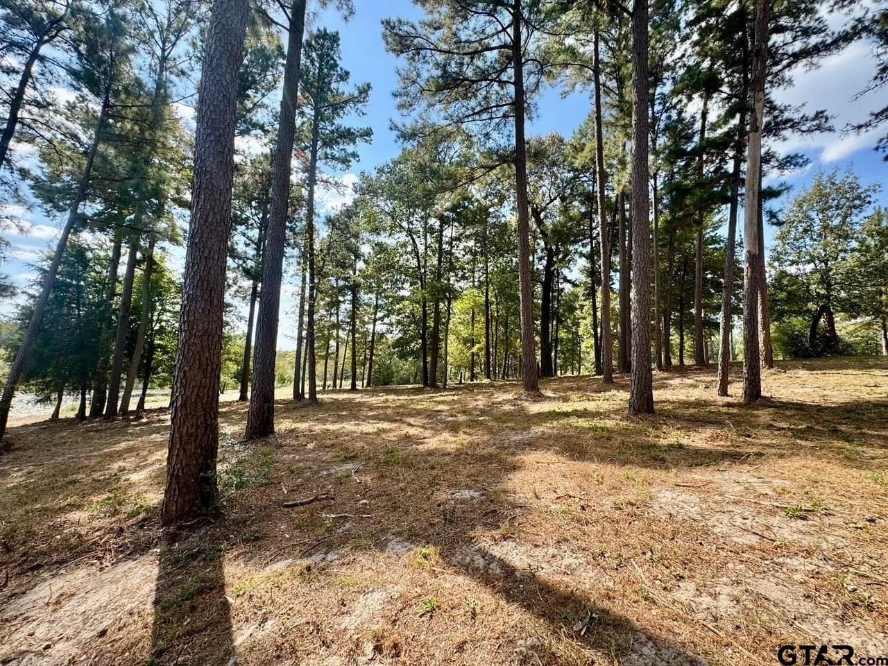1.8 acres in Wood County - photo 11