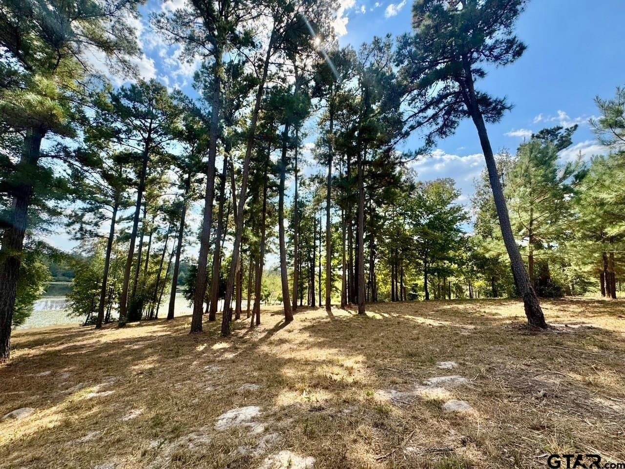 1.8 acres in Wood County - photo 6