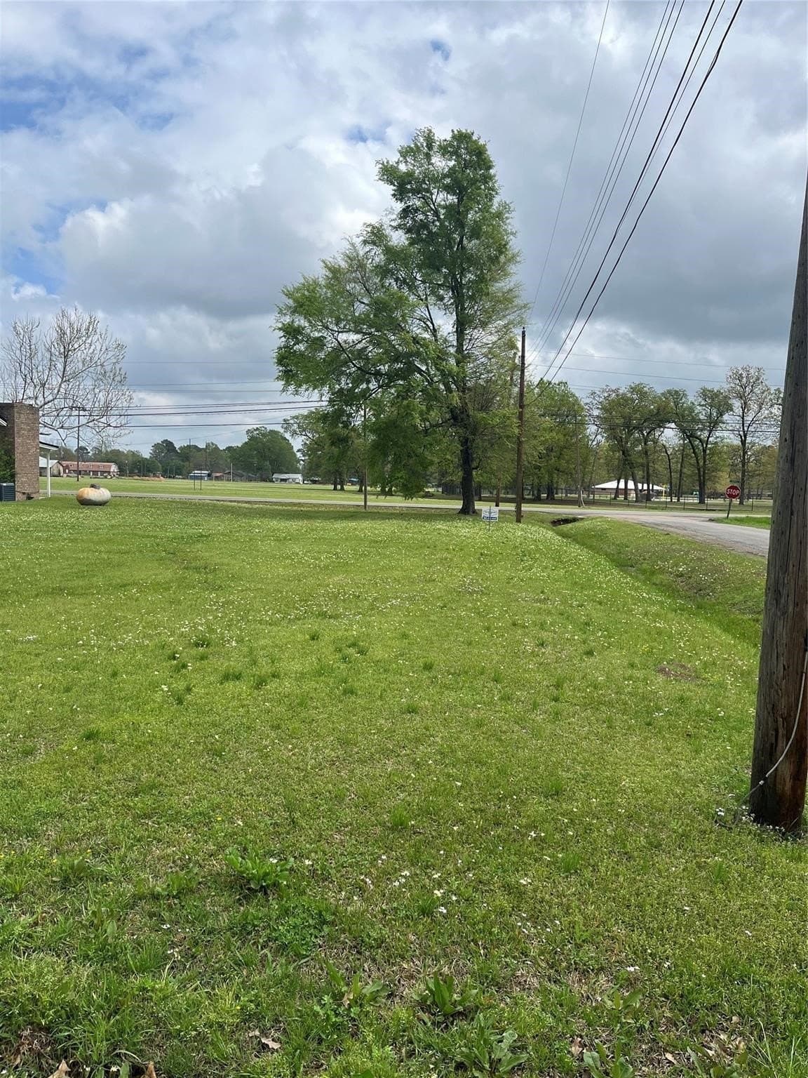 0.48 acres in Bowie County gallery image 2