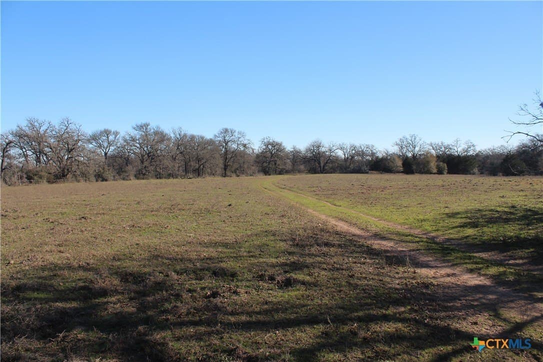 100 acres in Lee County gallery image 4