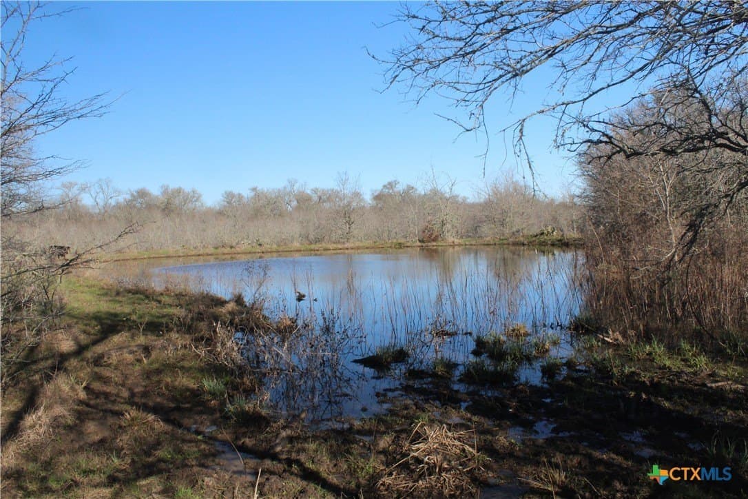 100 acres in Lee County featured view