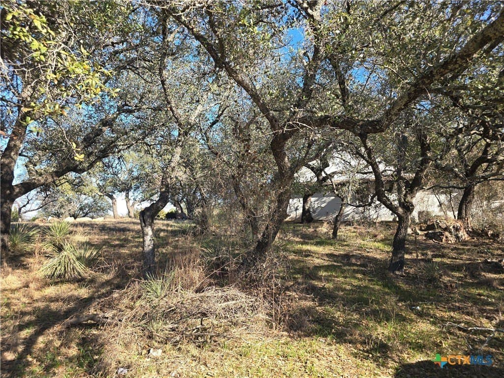 0.27 acres in Llano County gallery image 4