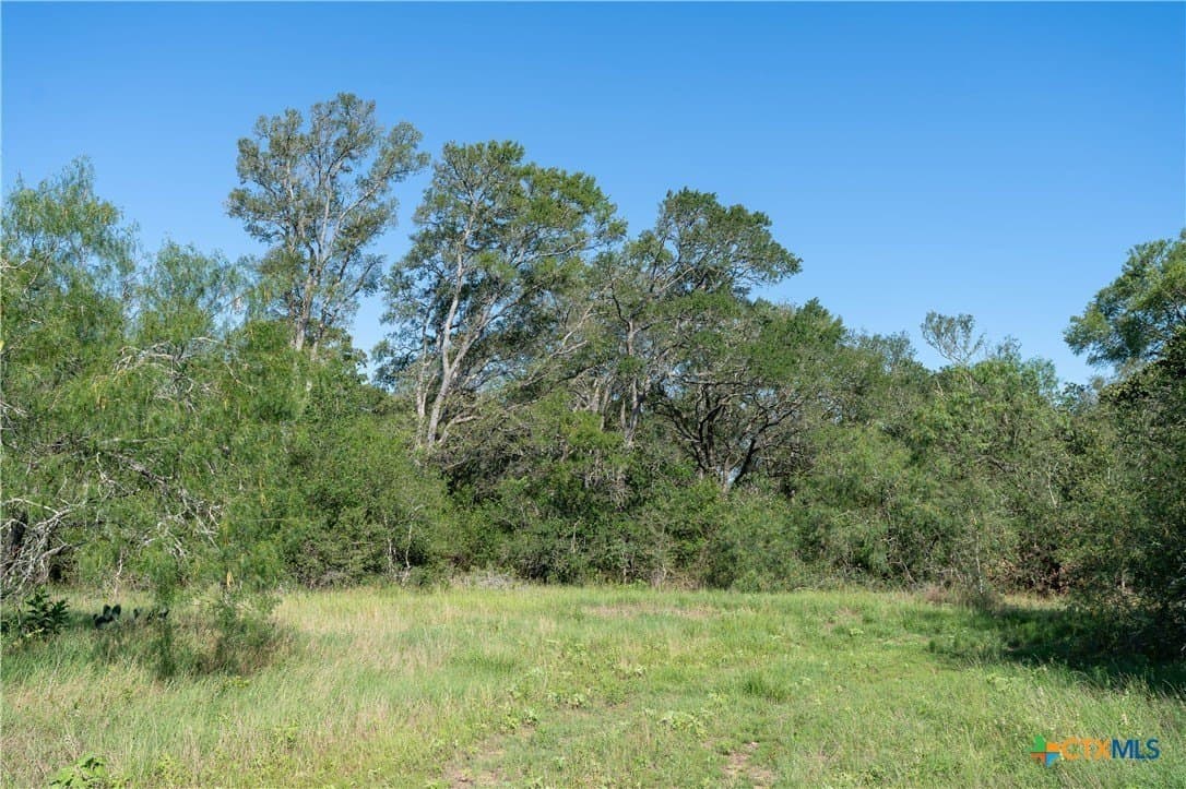 114.14 acres in Bastrop County featured view