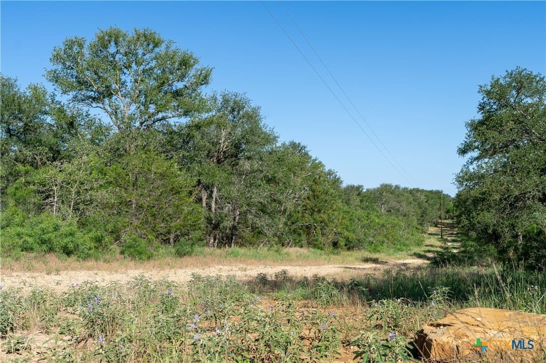 114.14 acres in Bastrop County gallery image 2