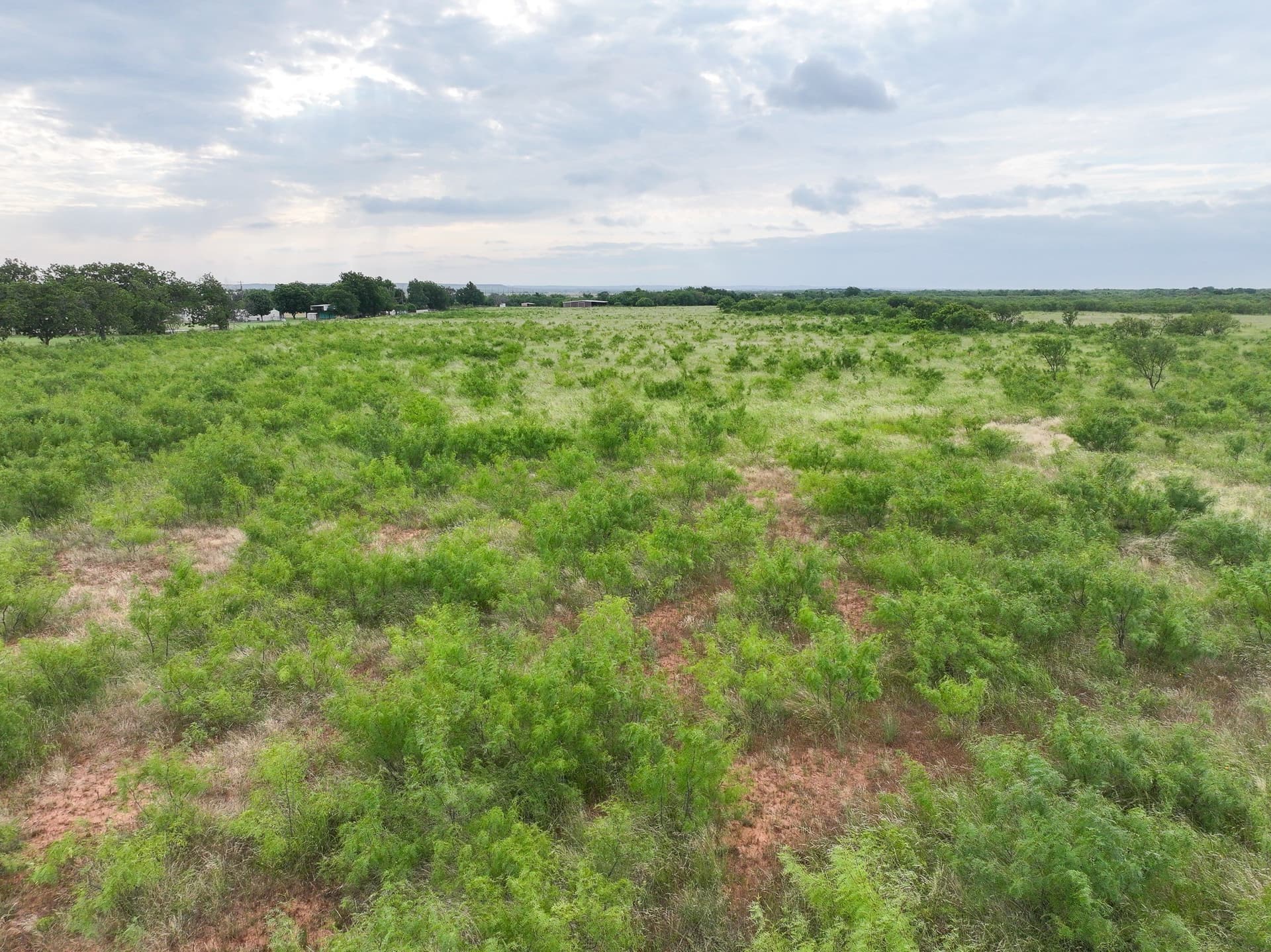 2.5 acres in Taylor County - photo 6