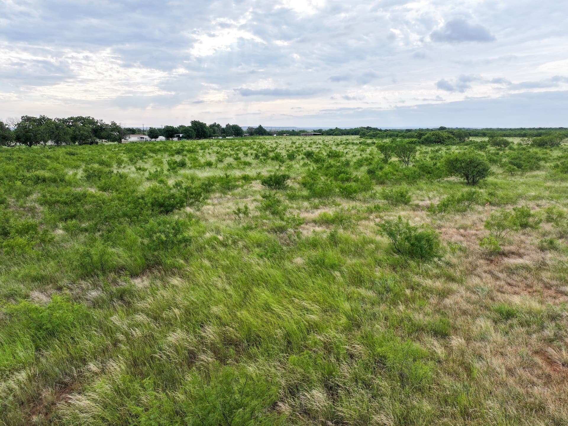 2.5 acres in Taylor County - photo 5