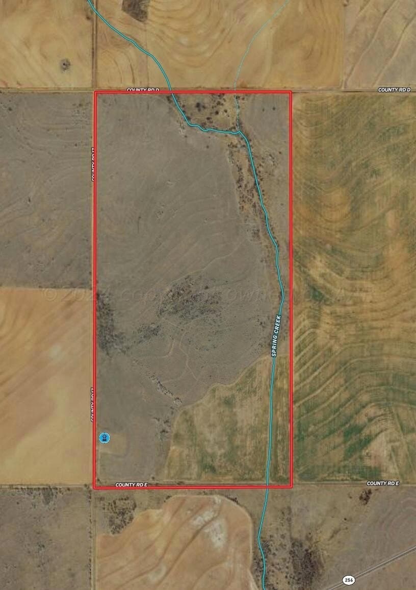 320 acres in Hall County gallery image 4