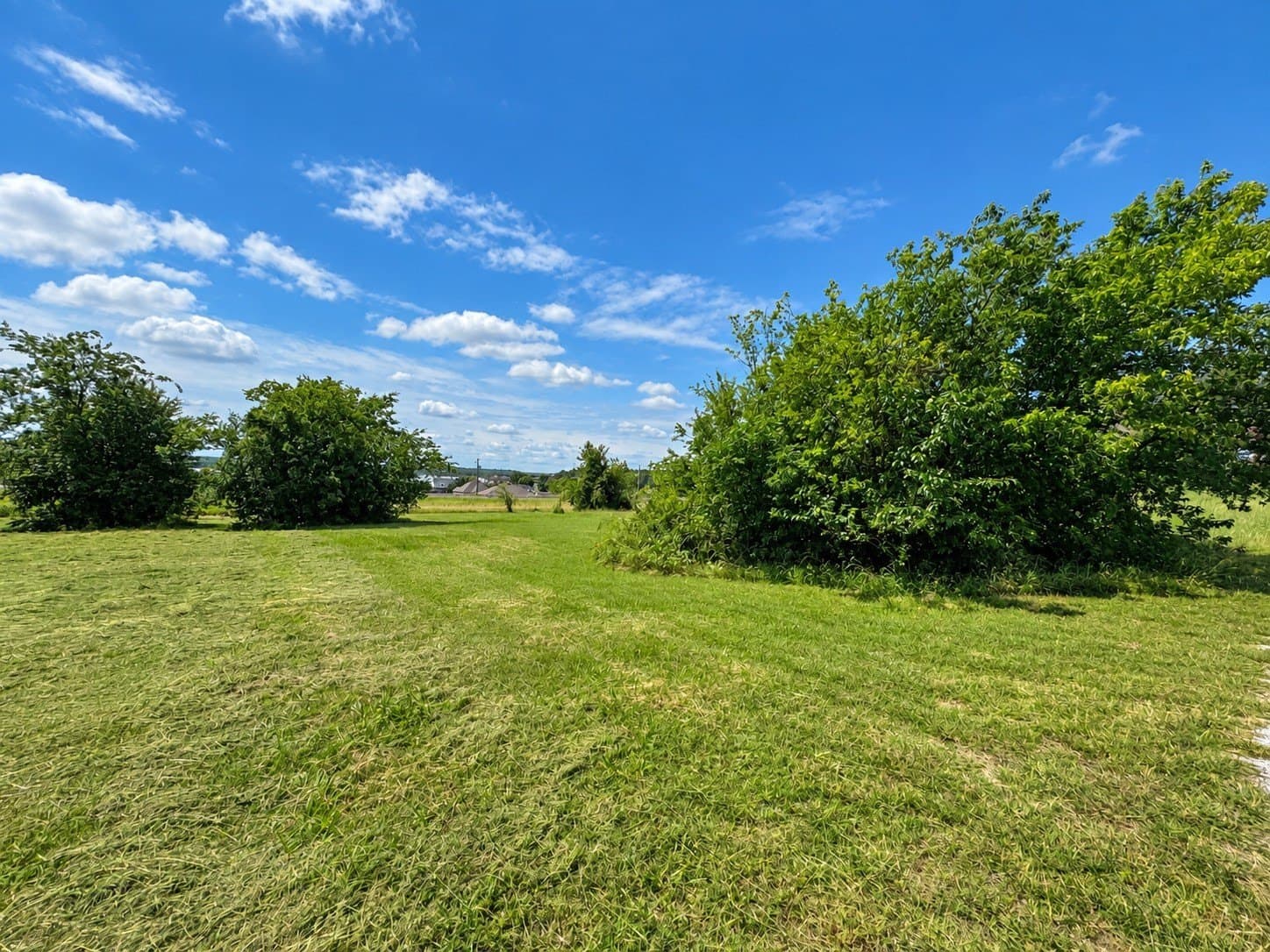0.29 acres in Wise County