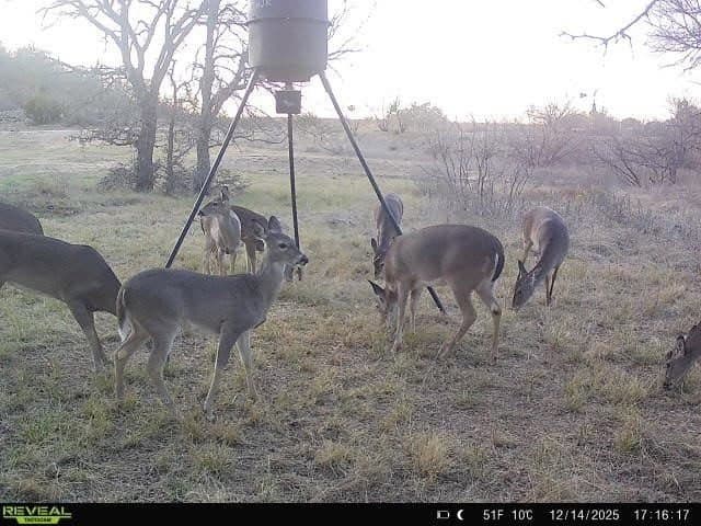 21.79 acres in Brown County - photo 40