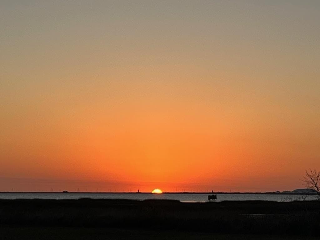 0 acres in Texas County gallery image 2