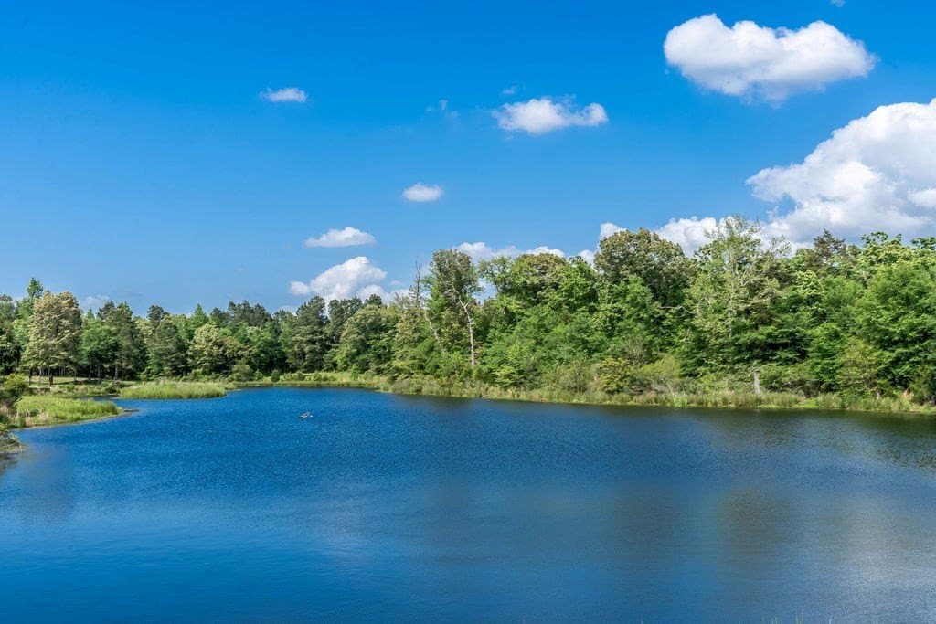 0.75 acres in ANDERSON County - photo 35