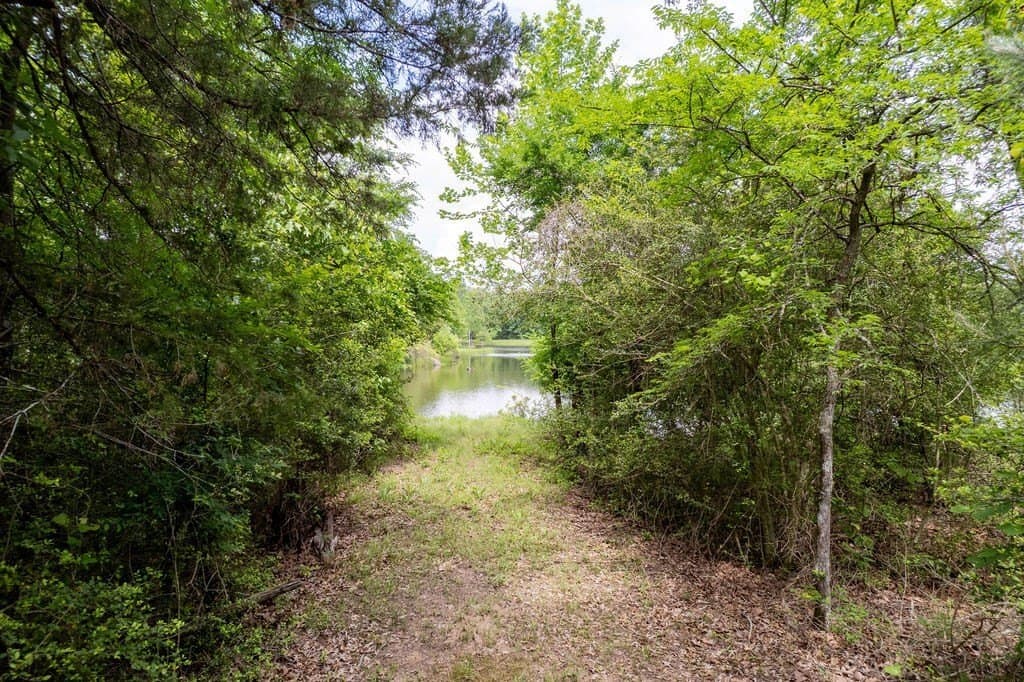 0.75 acres in ANDERSON County - photo 6