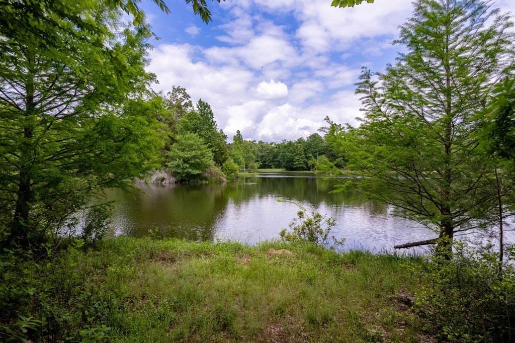 0.75 acres in ANDERSON County - photo 7