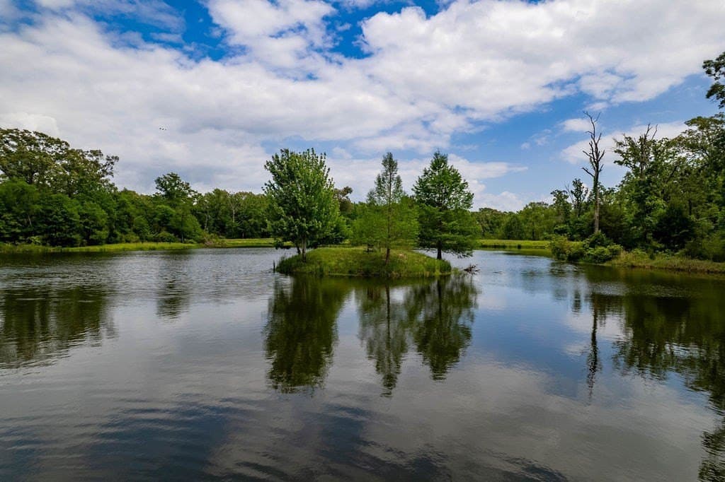 0.75 acres in ANDERSON County - photo 8