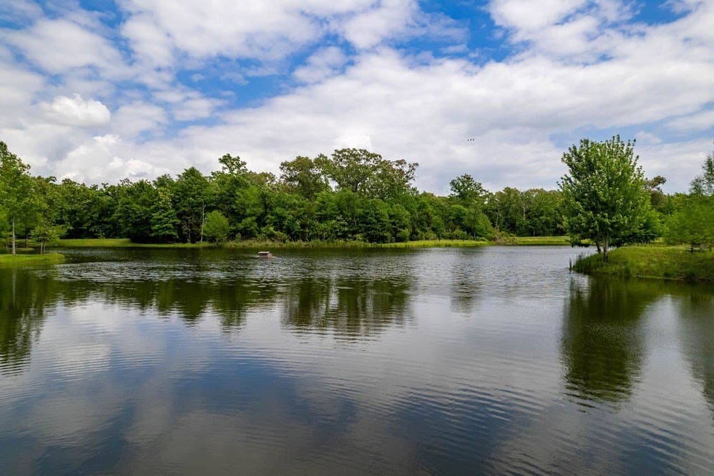 0.75 acres in ANDERSON County - photo 9