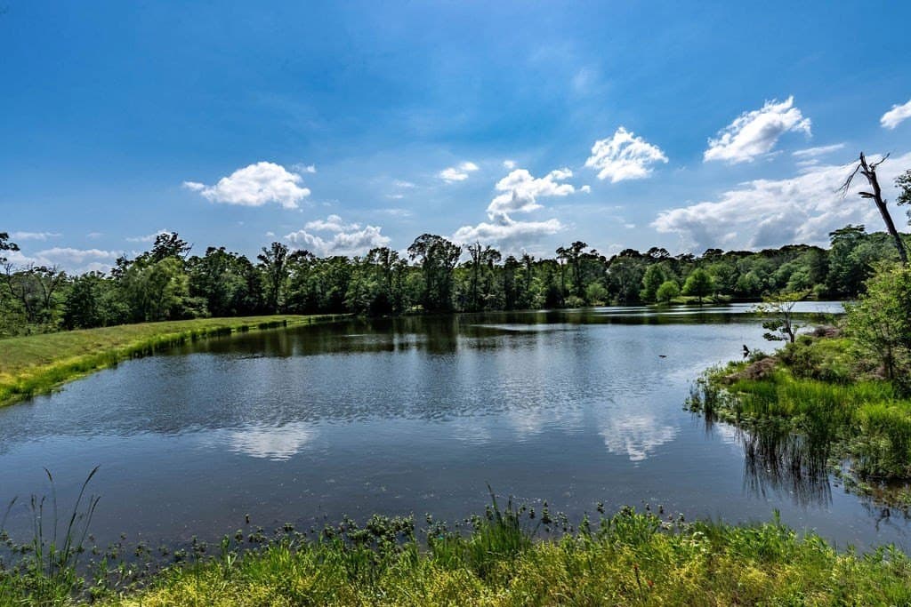 0.75 acres in ANDERSON County - photo 39