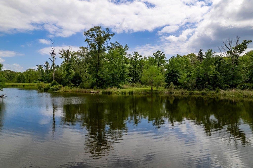 0.75 acres in ANDERSON County - photo 11