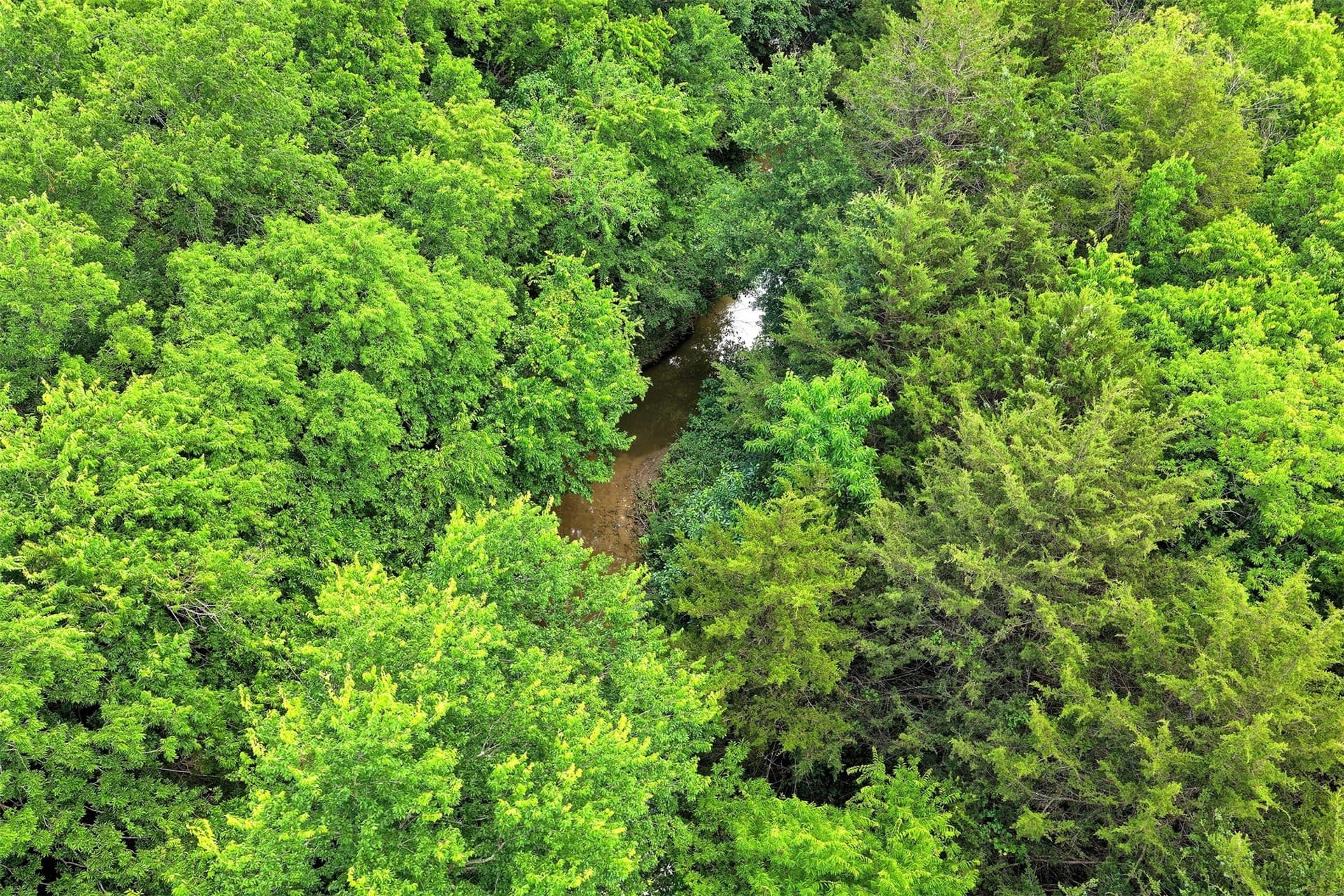 8.55 acres in Rockwall County - photo 10