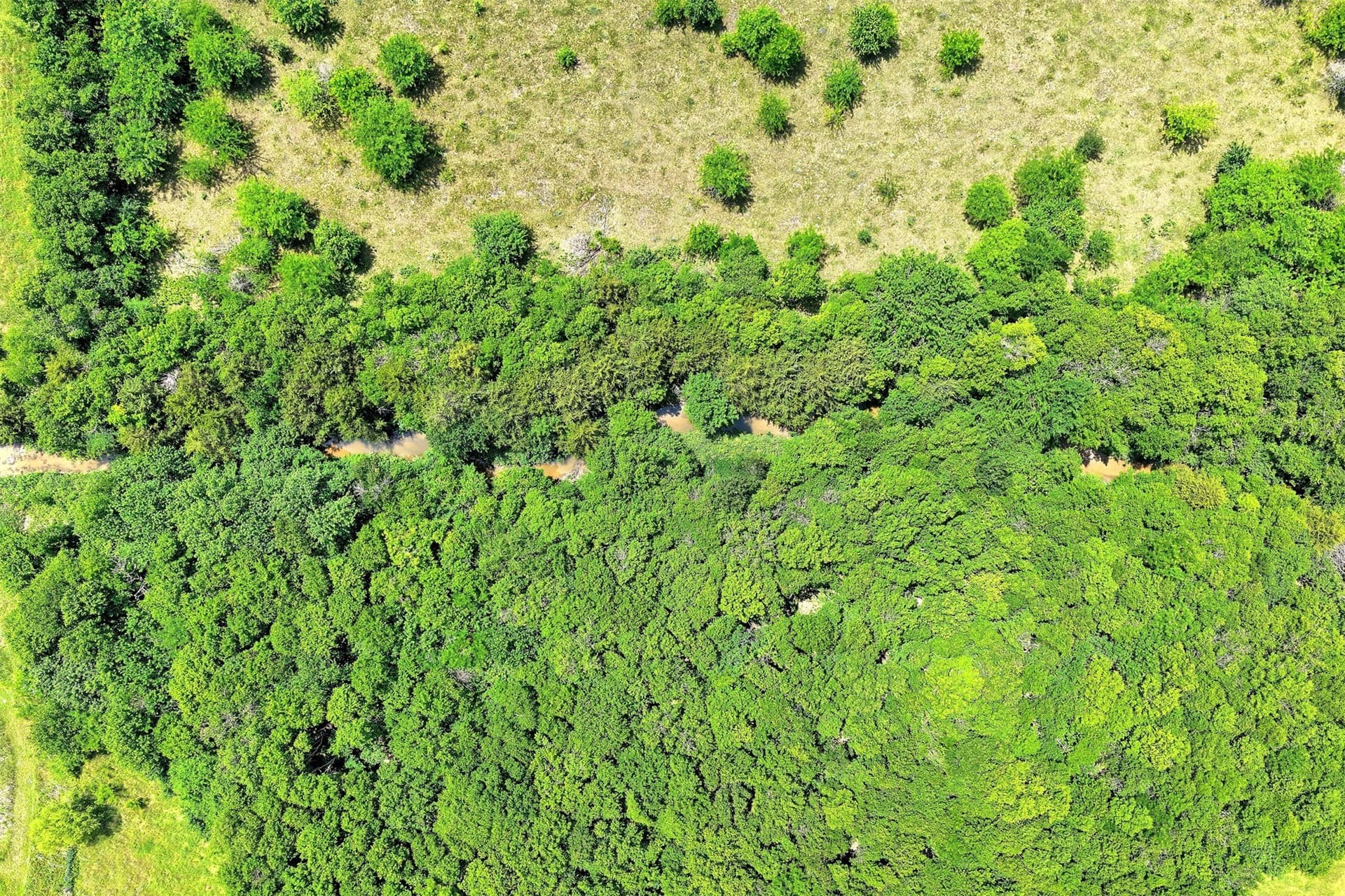 8.55 acres in Rockwall County - photo 11