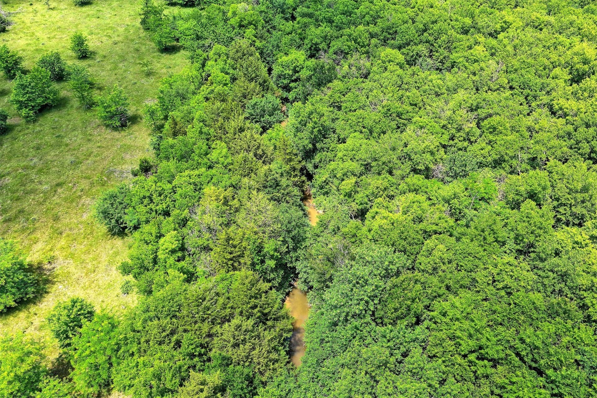 8.55 acres in Rockwall County - photo 14
