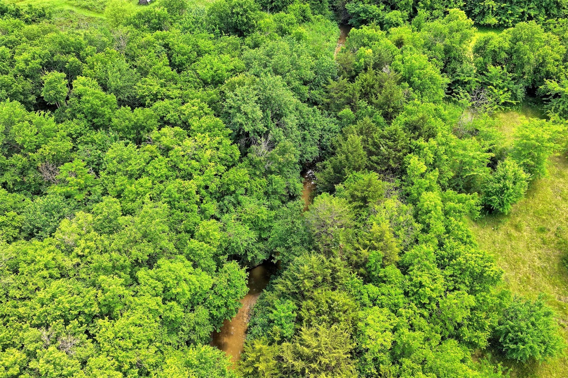 8.55 acres in Rockwall County - photo 12