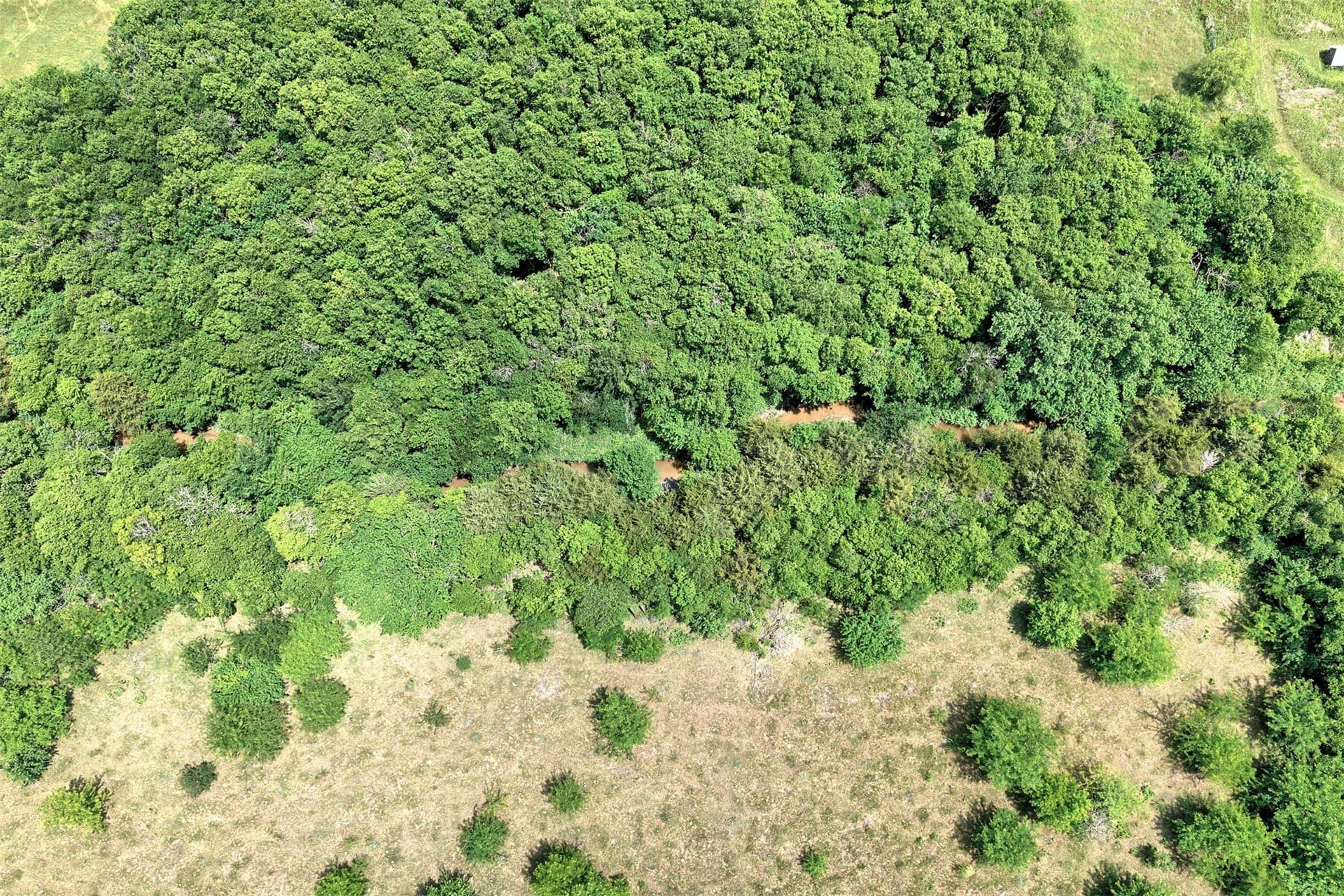 8.55 acres in Rockwall County - photo 13
