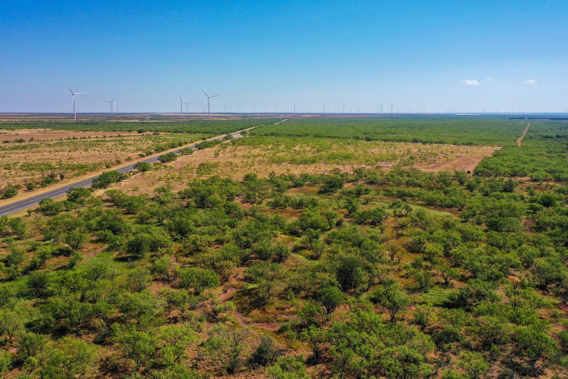 350.3 acres in Haskell County - photo 13