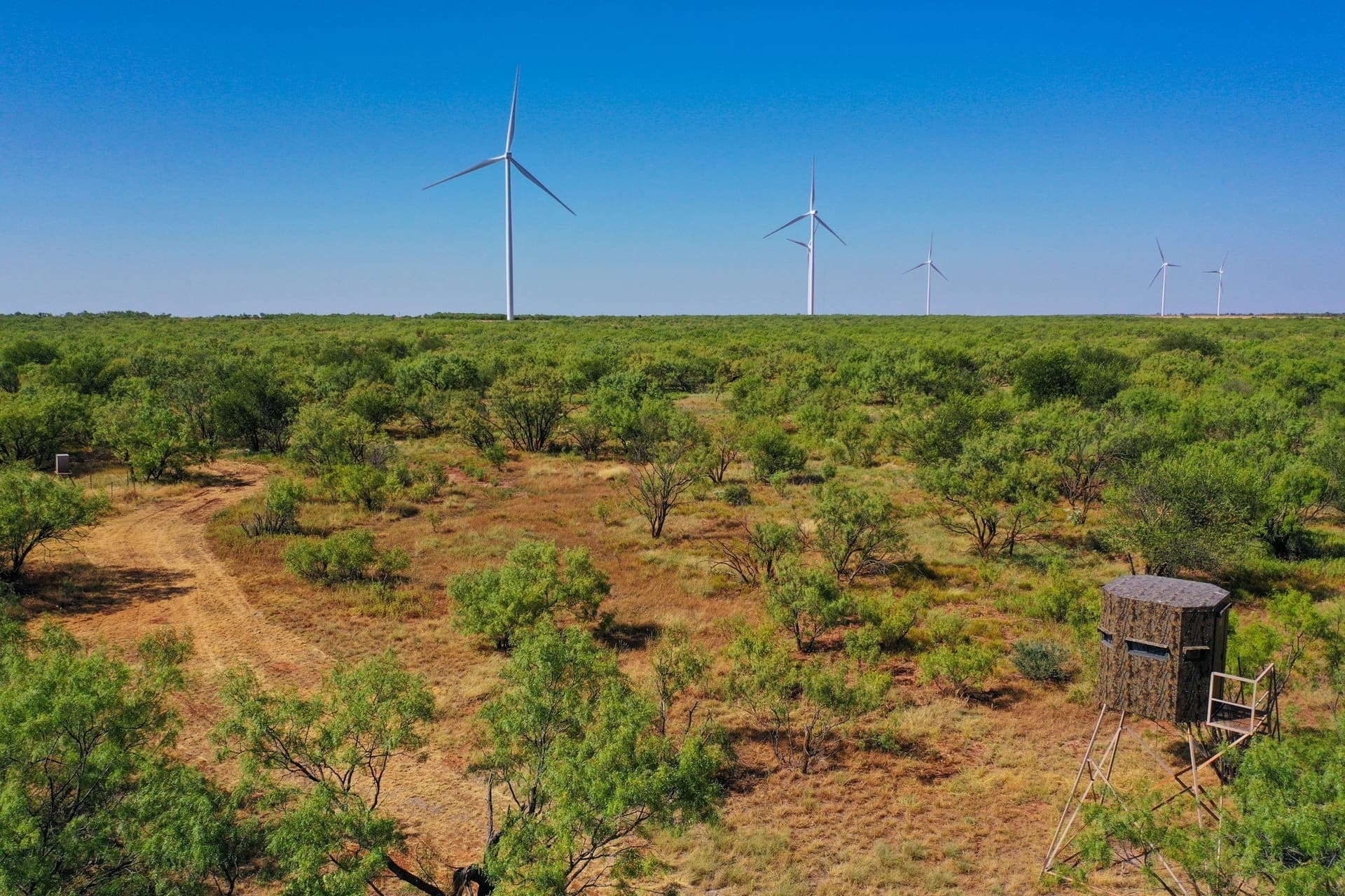 350.3 acres in Haskell County - photo 10