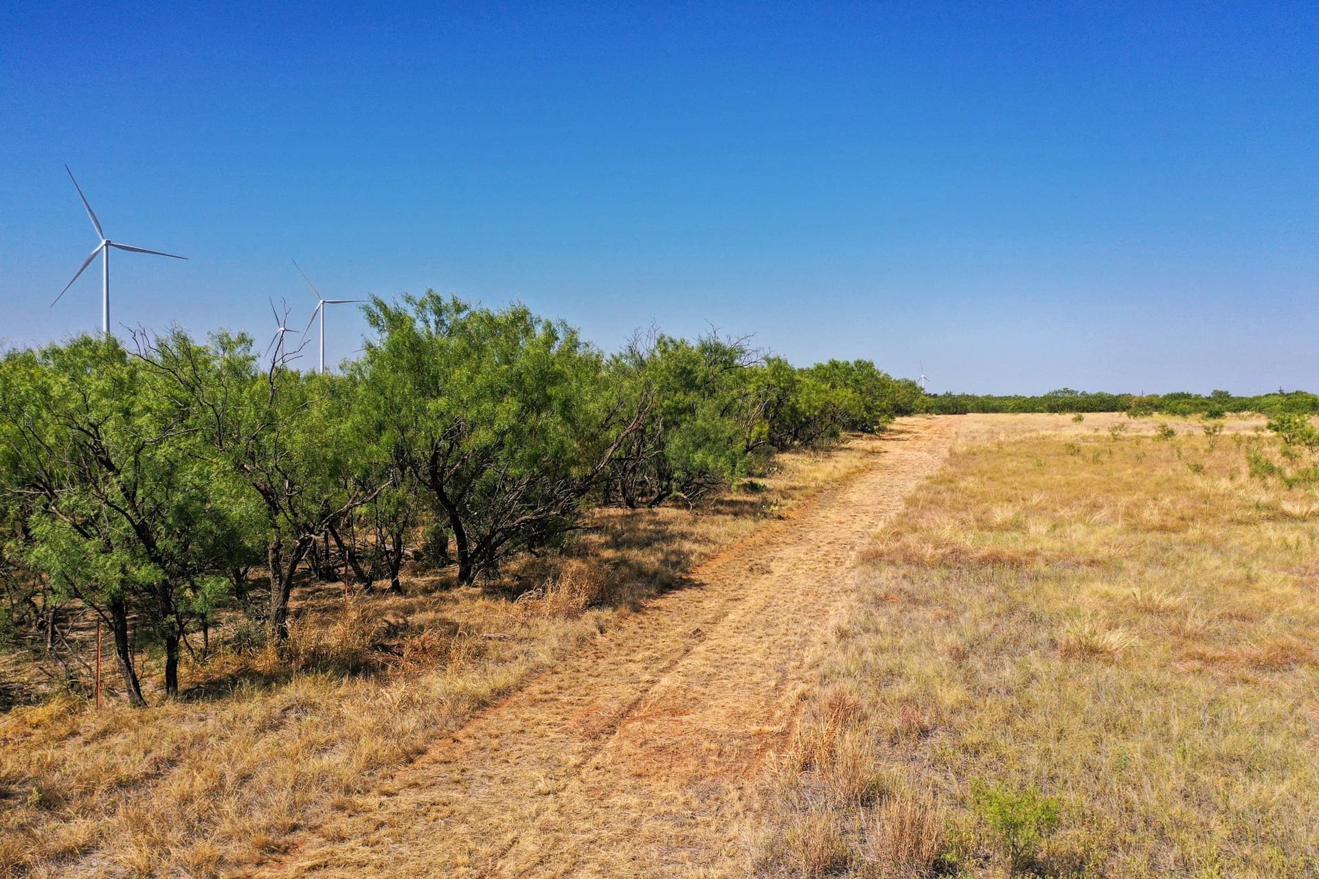 350.3 acres in Haskell County - photo 30