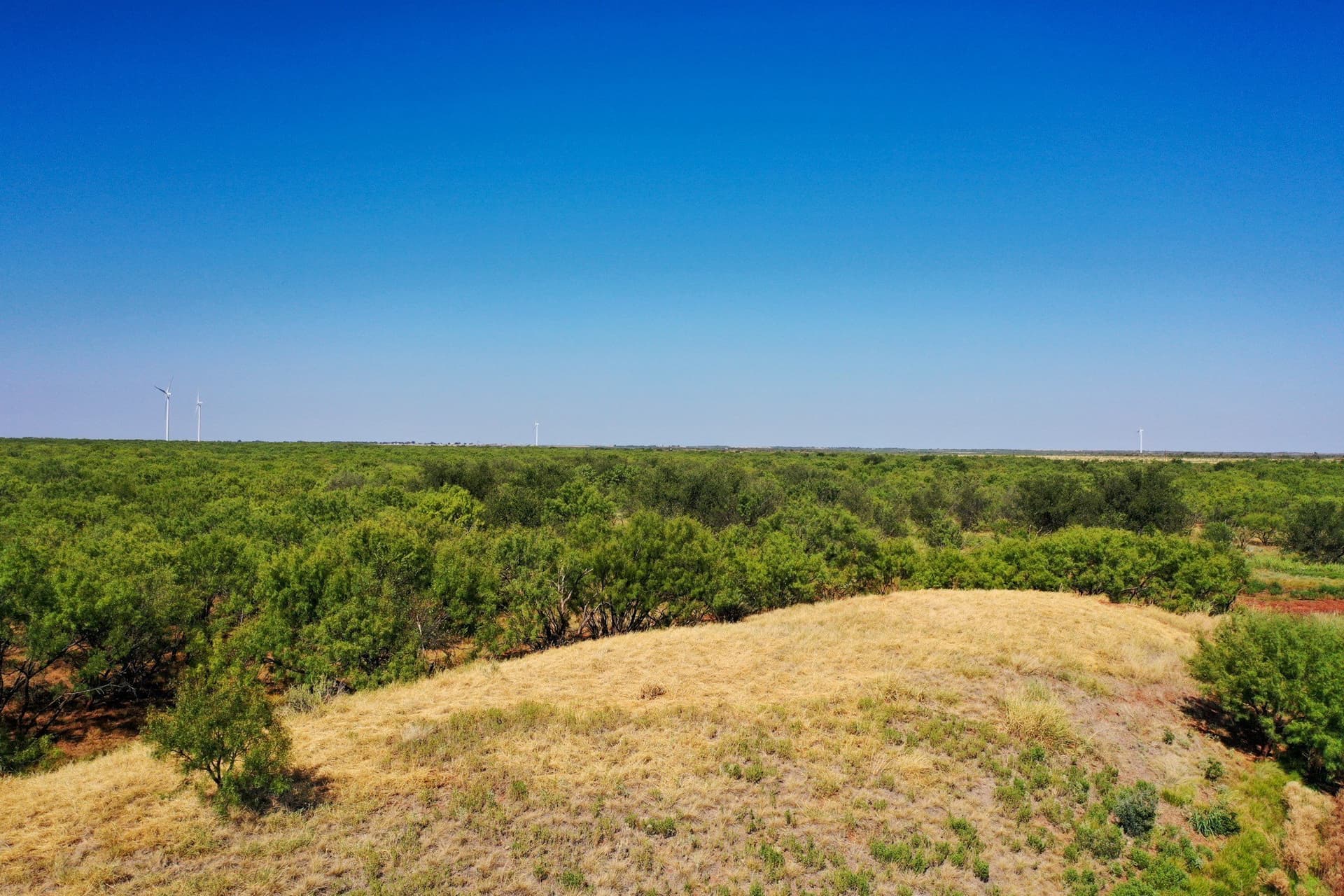 350.3 acres in Haskell County - photo 5
