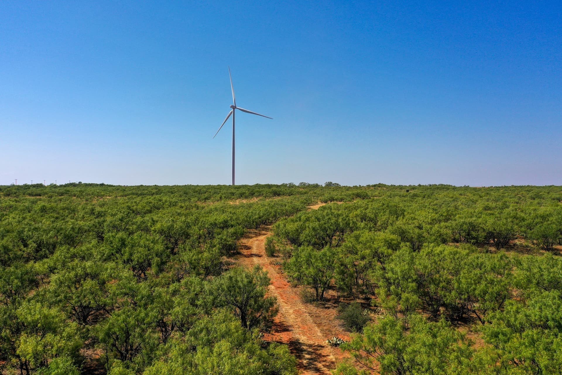 350.3 acres in Haskell County - photo 33