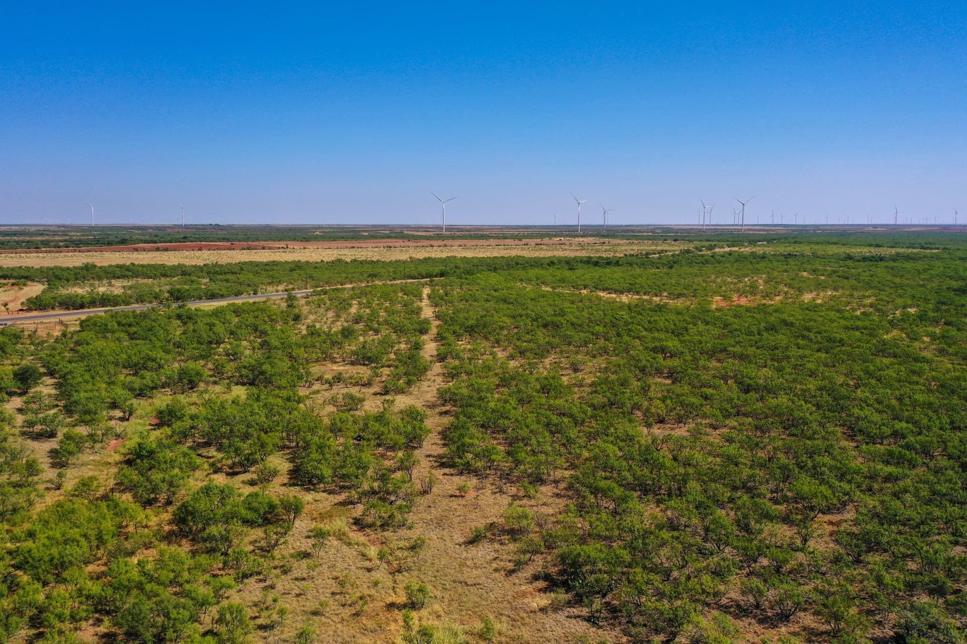 350.3 acres in Haskell County - photo 19