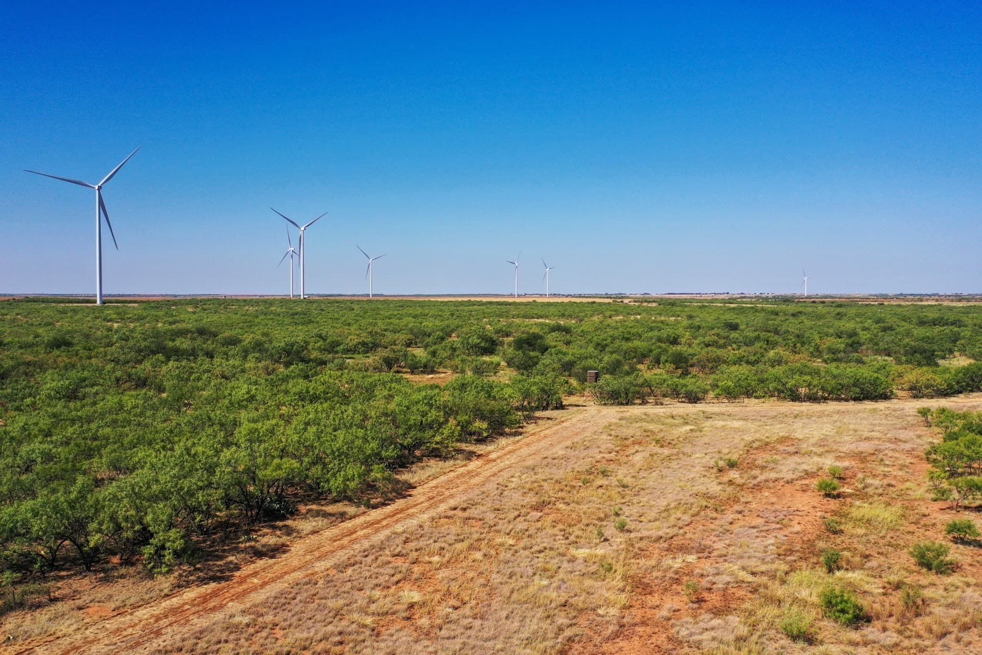 350.3 acres in Haskell County - photo 9