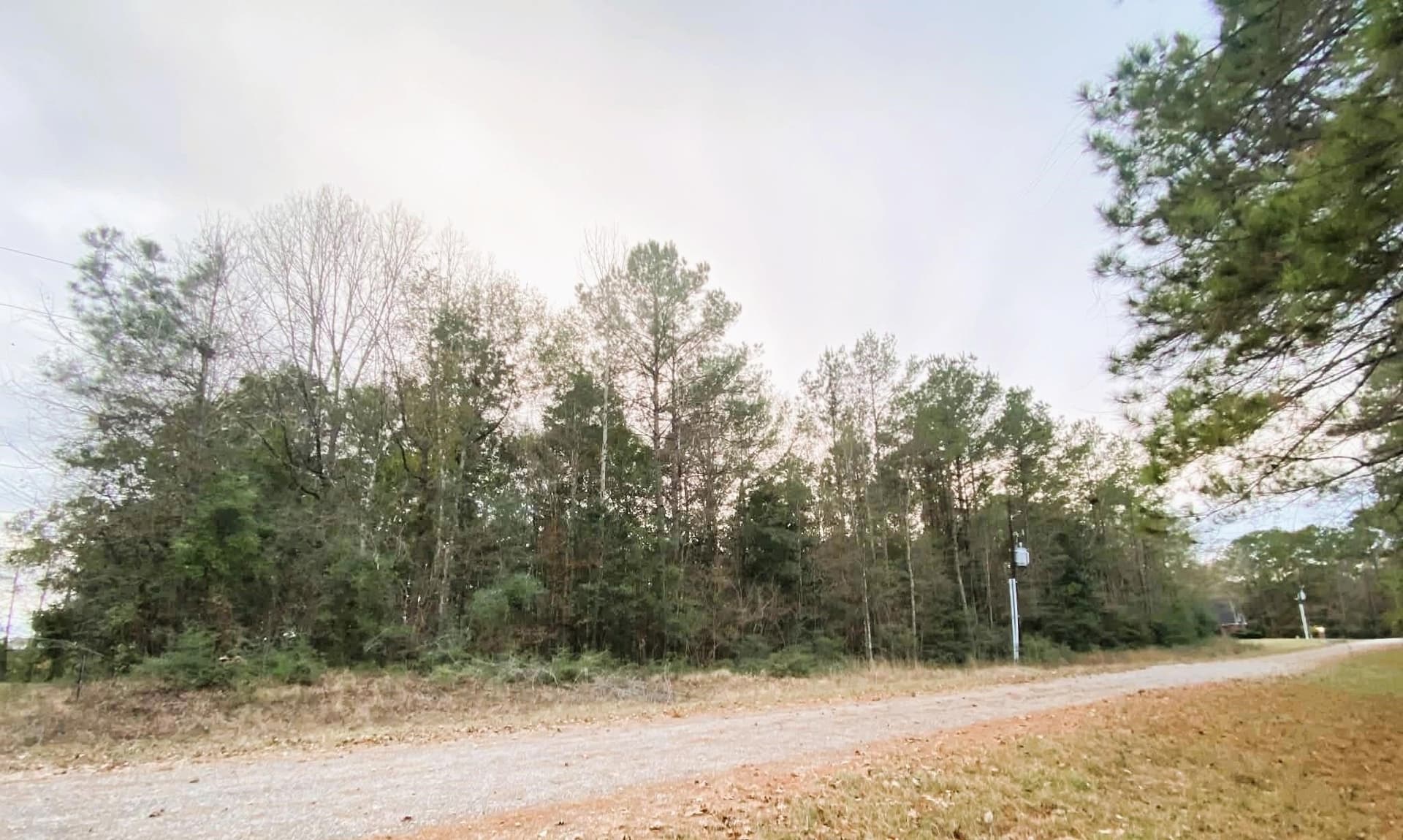 0.68 acres in Texas County gallery image 3