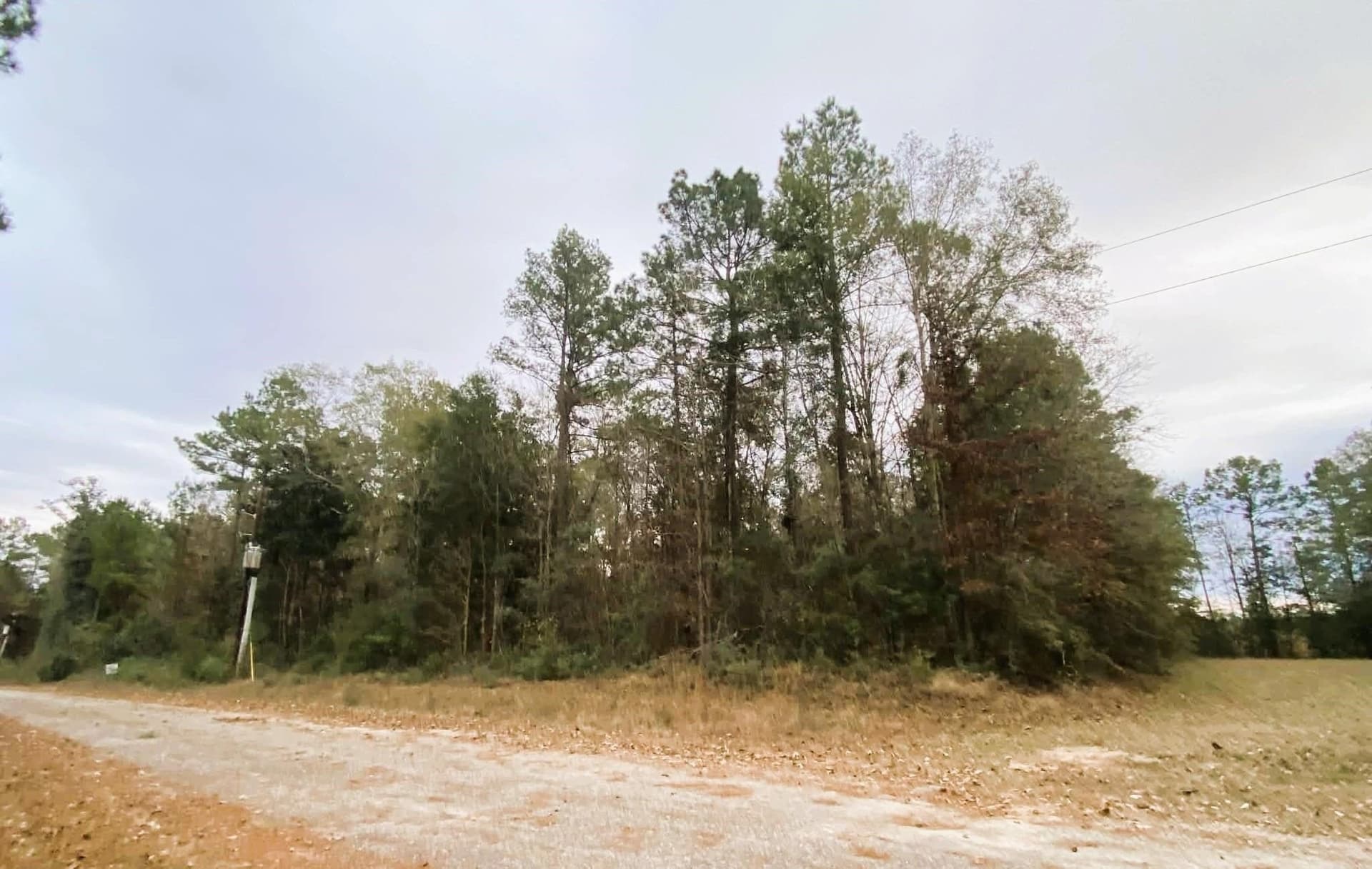 0.68 acres in Texas County gallery image 4