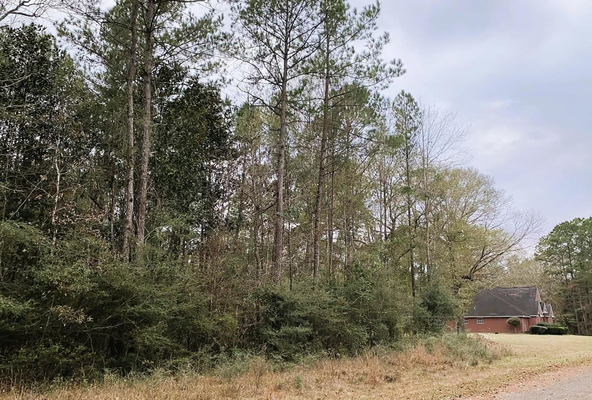 0.68 acres in Texas County featured view