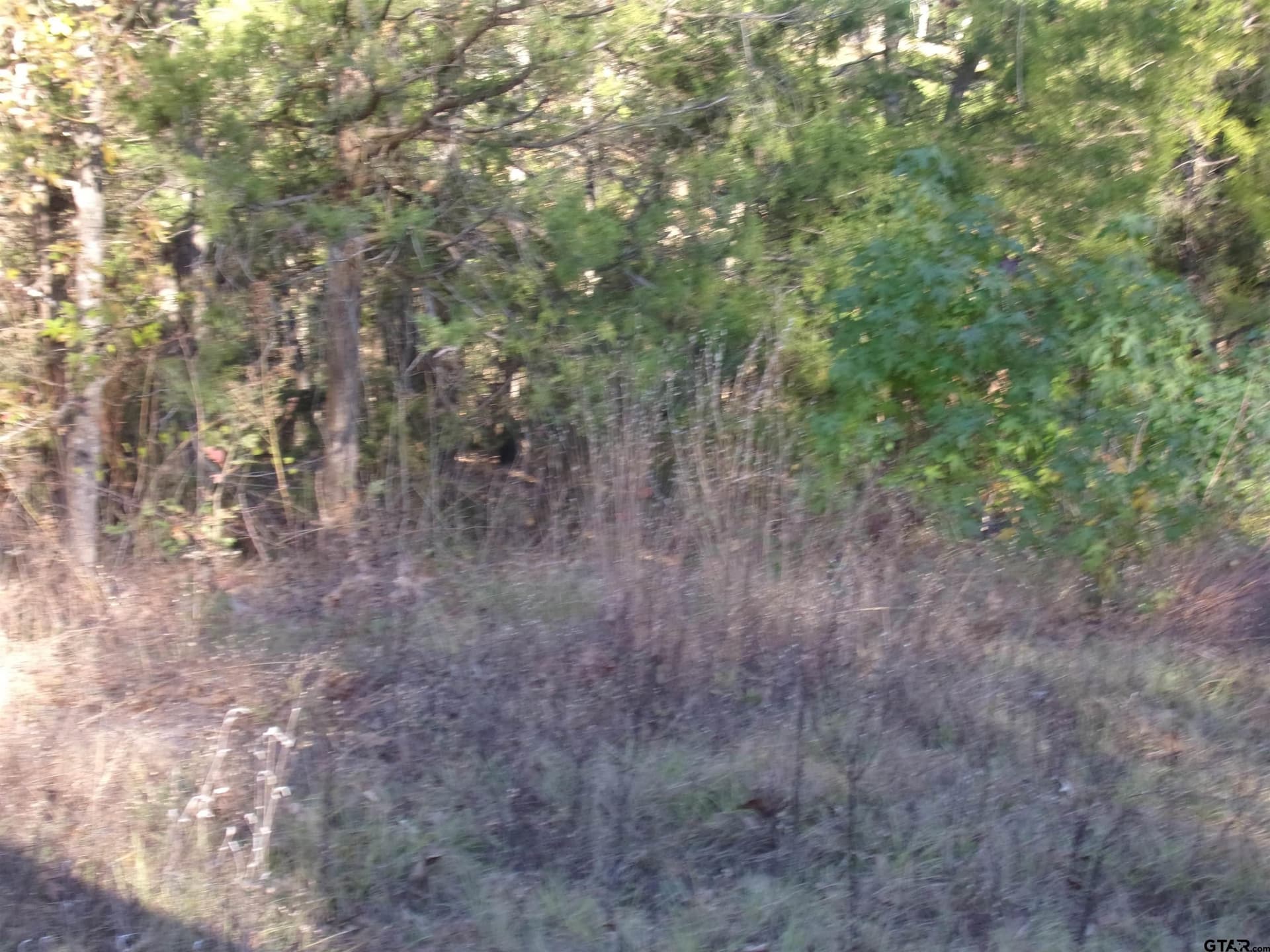 0.55 acres in Van Zandt County featured view