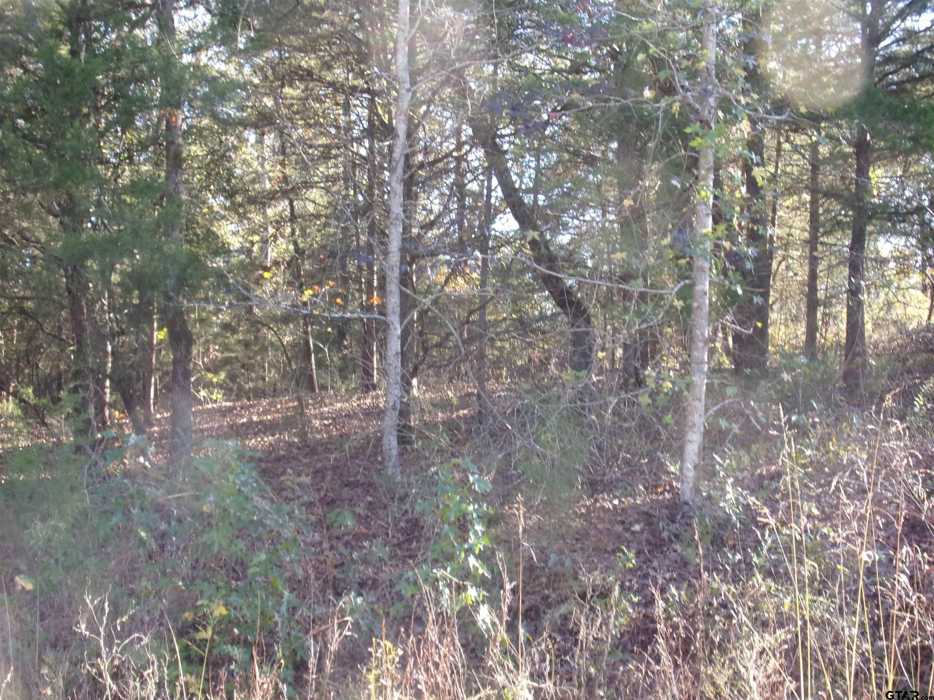 0.55 acres in Van Zandt County gallery image 2